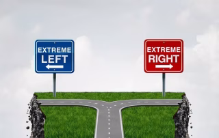 Domestic terrorism and radicalization risk mitigation